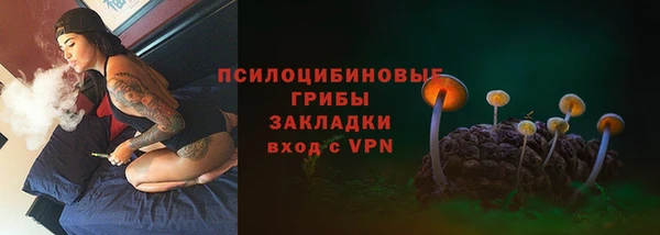 спайс Алексин