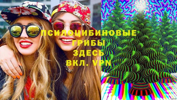 спайс Алексин