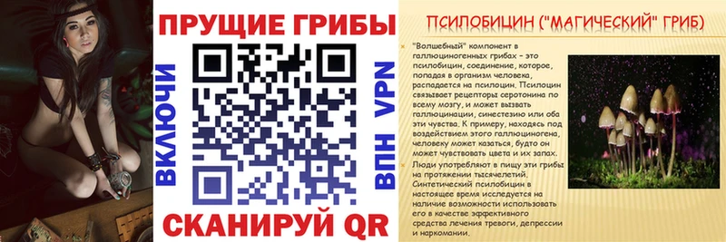 Псилоцибиновые грибы прущие грибы  наркотики  Талдом 