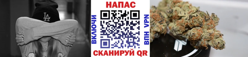 Канабис OG Kush  Талдом 